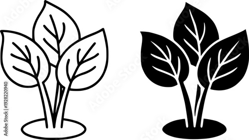 Black and white minimalist hosta illustration set : outline and silhouette icons
