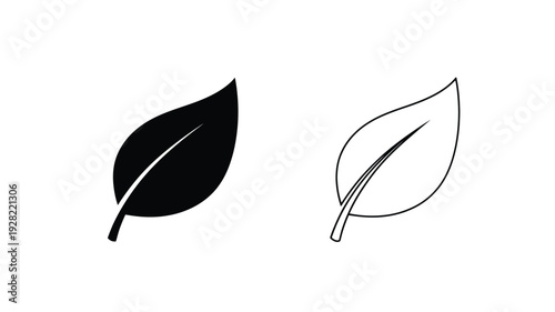 Two leaves one solid and one outlined a striking silhouette
