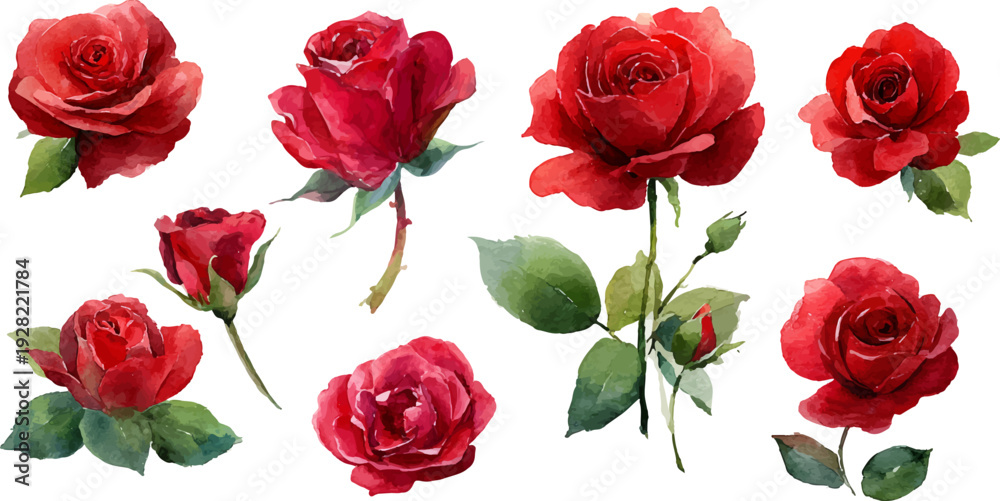Naklejka premium bouquet of red roses