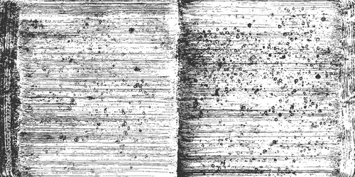 Black and white textured background resembling distressed paper or aged book pages with horizontal lines and scattered dark speckles