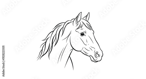 Elegant and realistic black and white line art portrait of a horse's head, beautifully capturing its features and flowing mane.