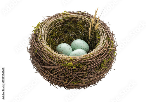 Delicate bird's nest made of fine twigs and moss, containing three tiny speckled eggs in soft blue-green, isolated on white.