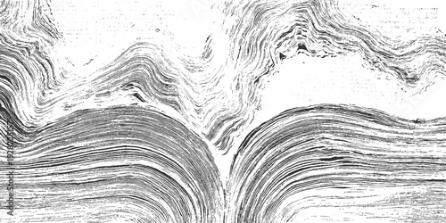 Black and white abstract textured background with swirling lines and grainy effect pattern