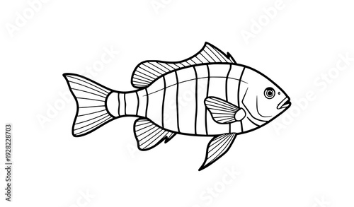 Banded rainbow fish line art vector illustration editable stroke isolated on transparent background
