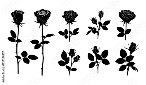 Black and white rose silhouettes with stems and leaves vector isolated on transparent background