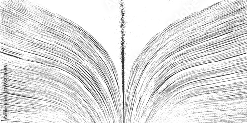 Black and white textured abstract pattern resembling open book pages with a central spine
