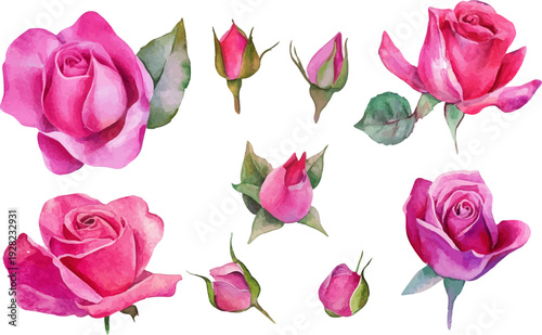 Wallpaper Mural pink roses on white background Torontodigital.ca