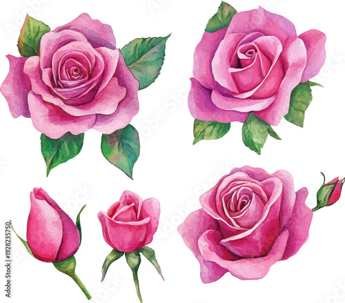 Wallpaper Mural seamless pattern with roses Torontodigital.ca