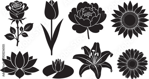 Floral silhouette collection set, rose tulip peony sunflower lotus black vector illustration