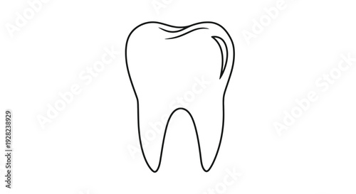 Simple line drawing of a single human tooth viewed from the front