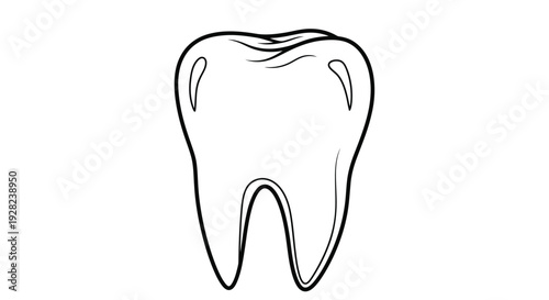 Simple line drawing of a human molar tooth on a white background