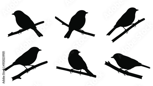 Six black bird silhouettes perched on branches simple design silhouette