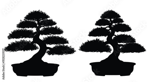 Two bonsai trees in pots a striking black outline silhouette