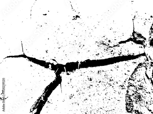 black ink splashes on white