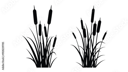 Black silhouette of cattails and foliage against a white background silhouette