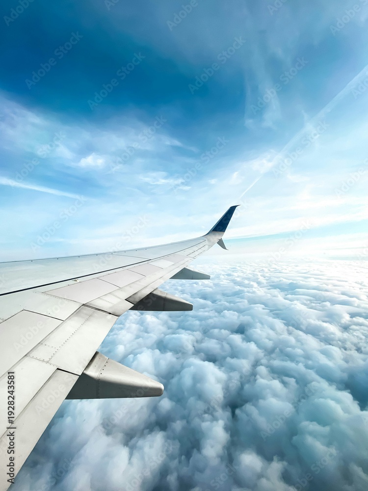 Obraz premium view from airplane window