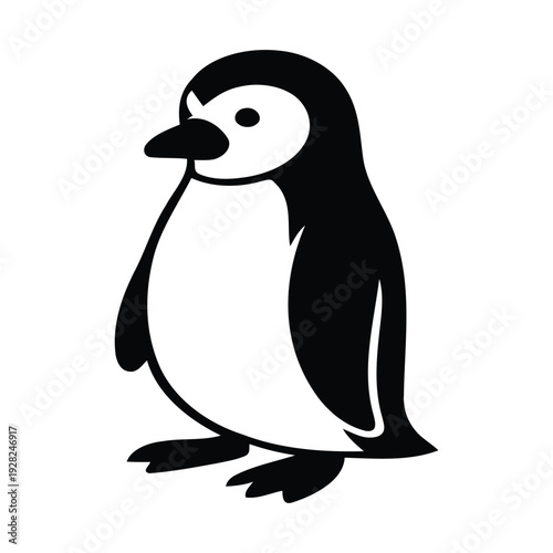 penguin on a white background