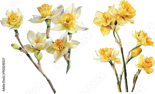 Wallpaper Mural yellow flowers isolated on white Torontodigital.ca
