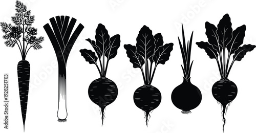 Black silhouette collection of different root vegetables including carrot leek beet onion and radish isolated on white background for healthy food concepts