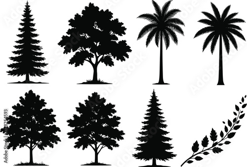 Tree silhouette collection set, pine oak and palm trees isolated on white background, botanical vector illustration for landscape design