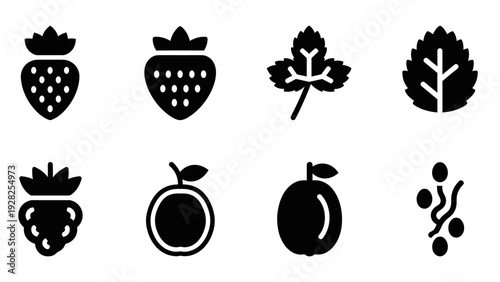 set of hand drawn black silhouette berry and leaf icons for nature and food design