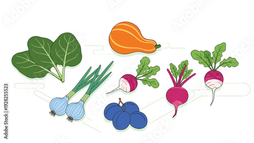 Collection of diverse fresh vegetables such as pumpkin, spinach, spring onions, radishes, and beets isolated on a plain white background.