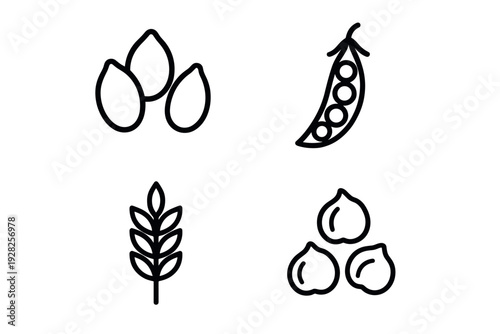 set of hand drawn grain seeds pea and nuts icons outline style