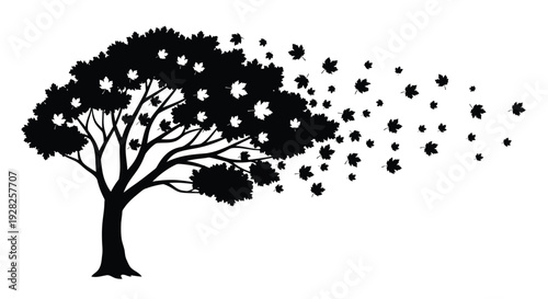 A detailed maple tree with falling leaves a striking silhouette