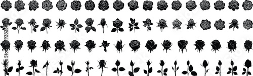 Black rose flower silhouettes set with garden blossoms buds and leaves vector icons collection isolated on white background for designBlack rose flower silhouettes set with garden blossoms buds and 