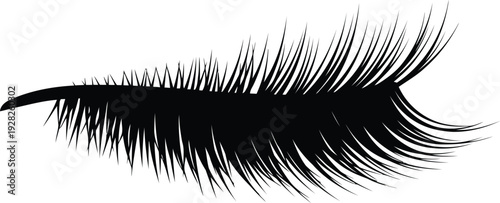 Realistic Black Eyelash Isolated on White Background for Beauty and Makeup Design
