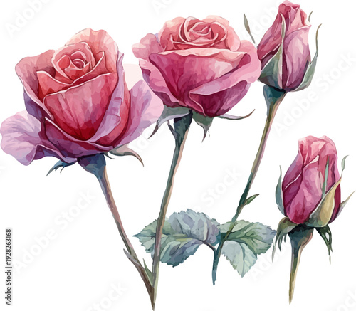 Wallpaper Mural bouquet of pink roses Torontodigital.ca