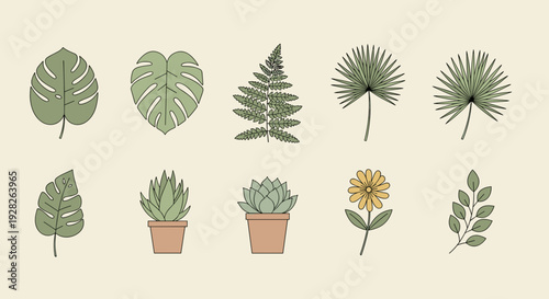 Collection of Various Green Leaves and Plants.