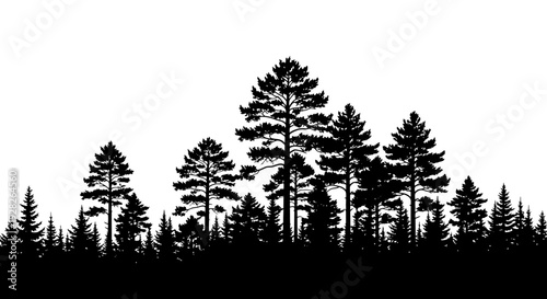 Silhouette of evergreen forest trees against a white background vector illustration