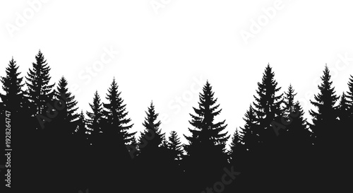 Silhouette of evergreen forest against white background for design