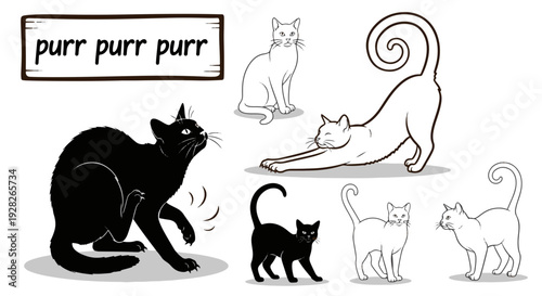 An Assortment of Domestic Cats in Different Actions Like Stretching Scratching and Resting with a Purring Phrase