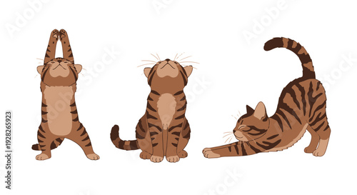 Three Stylized Brown Tabby Cats in Different Poses Stretching and Looking Up with Clear Outlines on Black Background