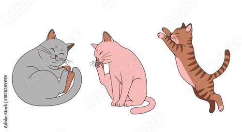 Three Cartoon Cats Displaying Various Natural Poses and Behaviors Like Sleeping Grooming and Playful Stretching