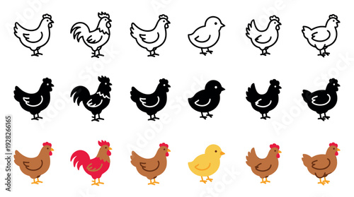 Set of farm bird vector icons showing a hen, rooster, and chick in three different graphic styles: simple line art, solid black silhouette, and colorful flat design