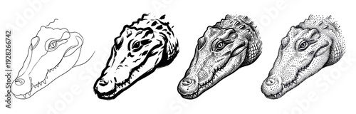 Four crocodile head illustrations showing different artistic styles from simple line art and brush strokes to detailed engraving and stippling techniques in a black and white set