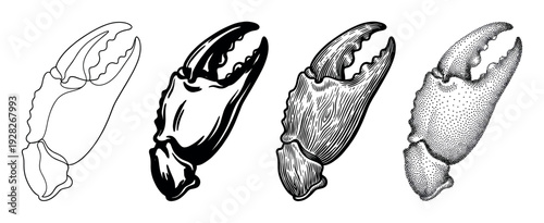 Four black and white crab claw illustrations in different artistic styles, including simple line art, solid silhouette, vintage engraving, and stippling dotwork
