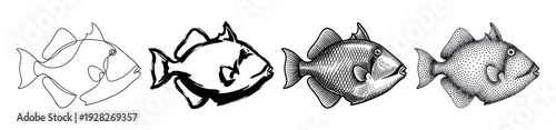 Set of four triggerfish illustrations showcasing different artistic techniques like continuous line drawing, bold brush strokes, vintage engraving, and detailed stippling