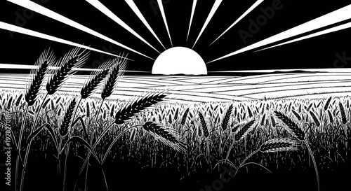 Black and white graphic of wheat field with rising sun over the horizon