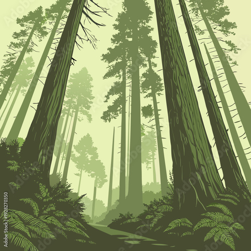 Surreal low angle view of towering green redwood trees with a winding forest path leading into a misty, ethereal jungle.