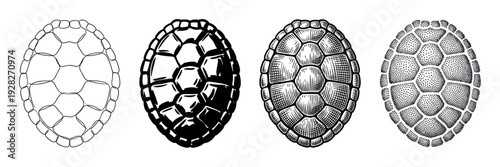 Collection of four tortoise shell drawings demonstrating different illustration techniques from simple outline and solid black to detailed vintage engraving and stippling