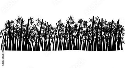 Black silhouette of bamboo plants against white background vector illustration