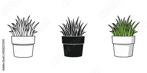Three potted plants with lush green foliage in white and black pots on white background