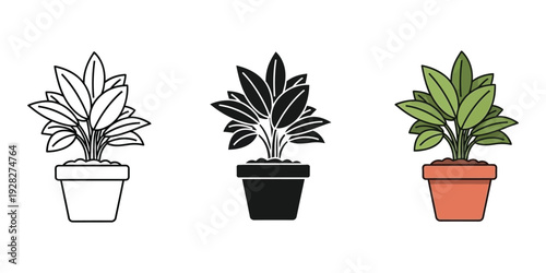 Three potted plants in line black and white and color illustration minimalistic style indoor gardening plant care decorative pots