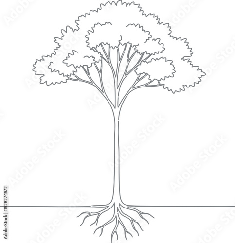 Simple black and white line art drawing illustrating a mature deciduous tree displaying its visible root system extending below the ground line in a minimalist style graphic.