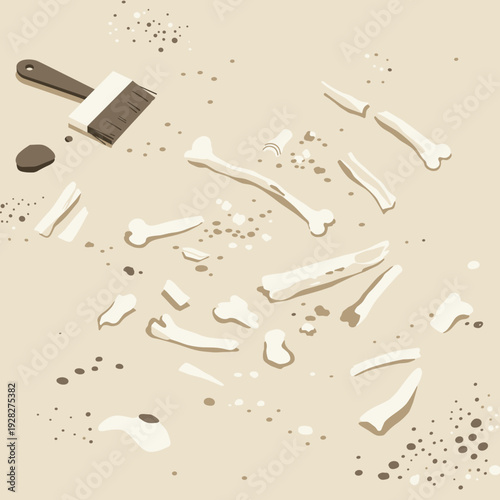 Archaeological dig site with scattered bone fragments and a brush on sandy ground.