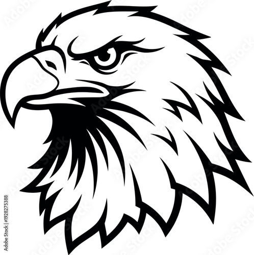 Fierce black and white stylized eagle head mascot drawing suitable for sports teams logos or graphic design projects requiring an aggressive avian symbol